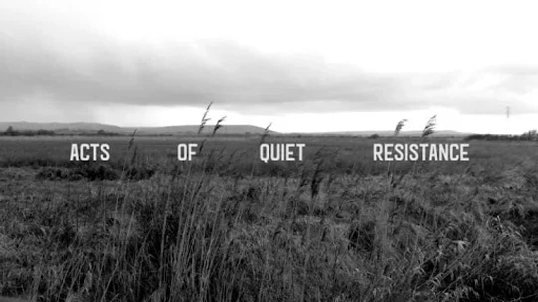 Introverts Organizing Softly — image 3