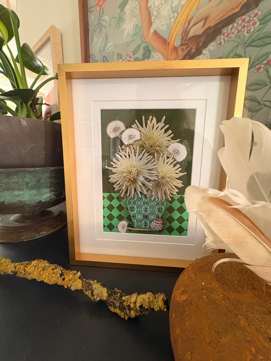 The Botanical Collectors Club — image 5