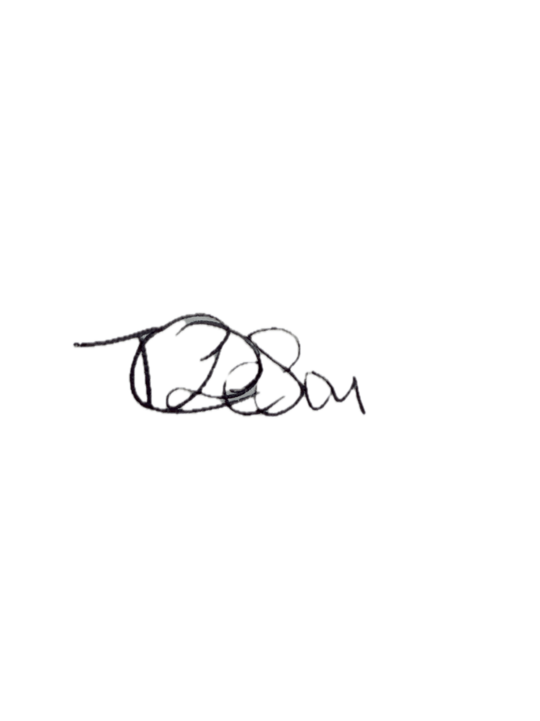 Quiet Seasons Art Club signature