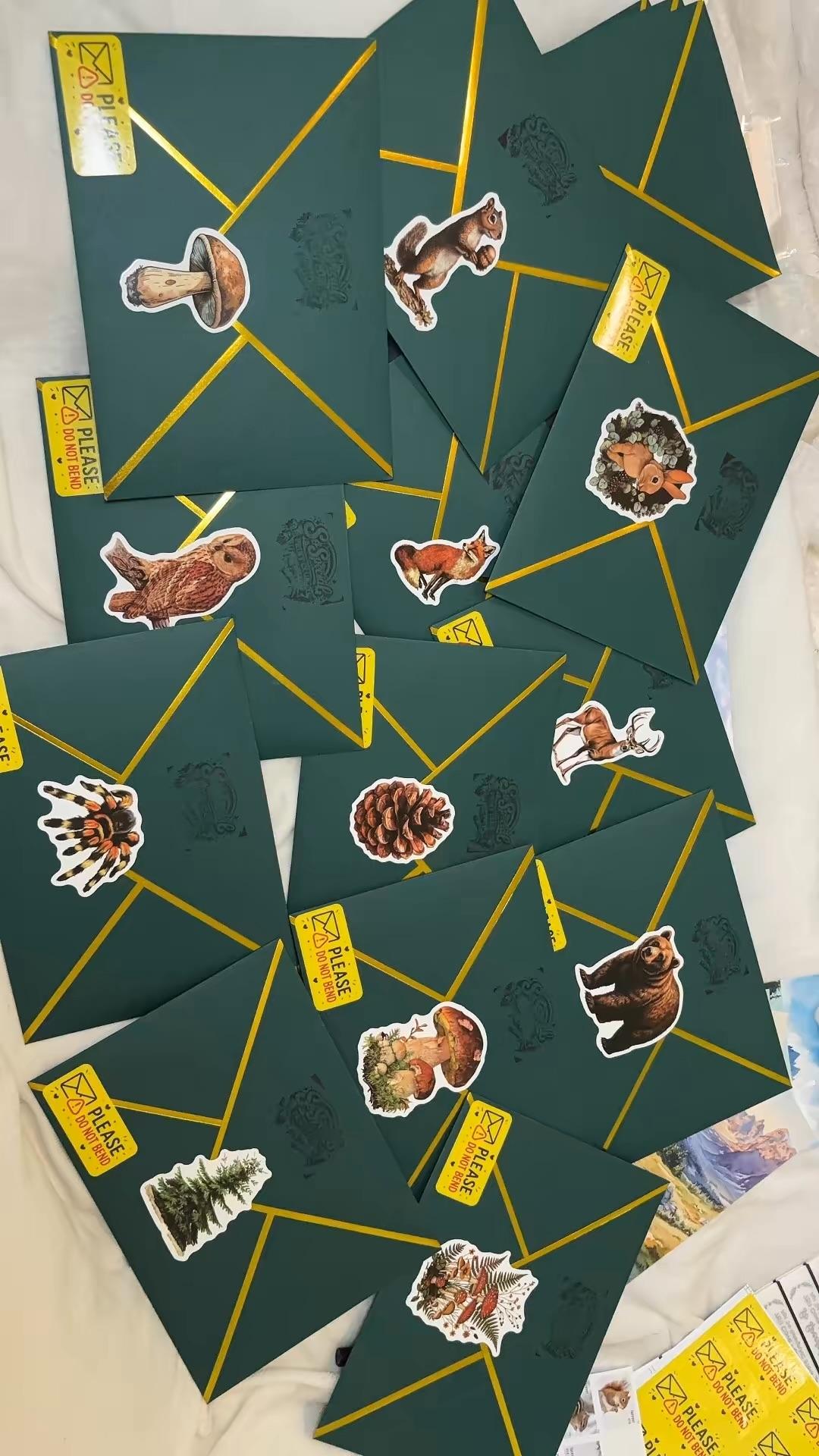 Nature/hike 🌲🏔️ mailing, photo 1