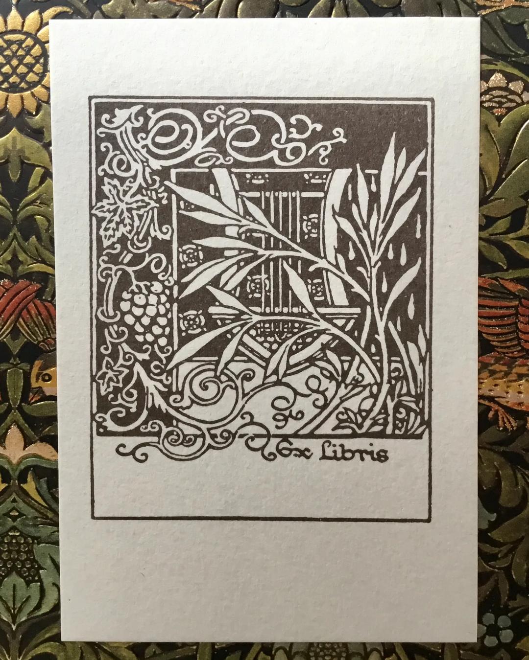 Wild & Gilded Letters from Tuscany — image 12