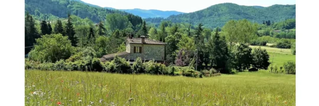 Wild & Gilded Letters from Tuscany — image 4