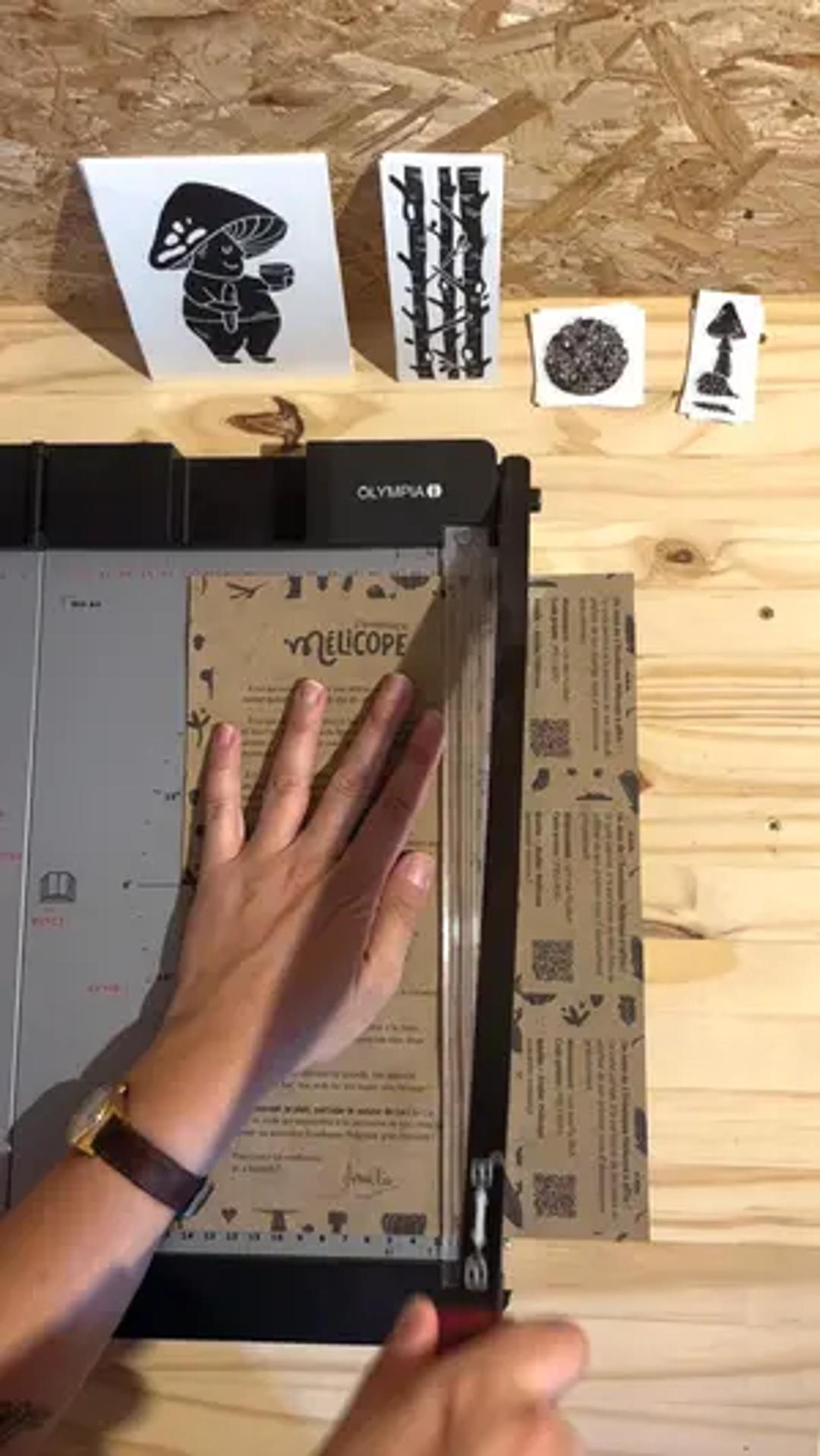 L'enveloppe Mélicope thumbnail 8