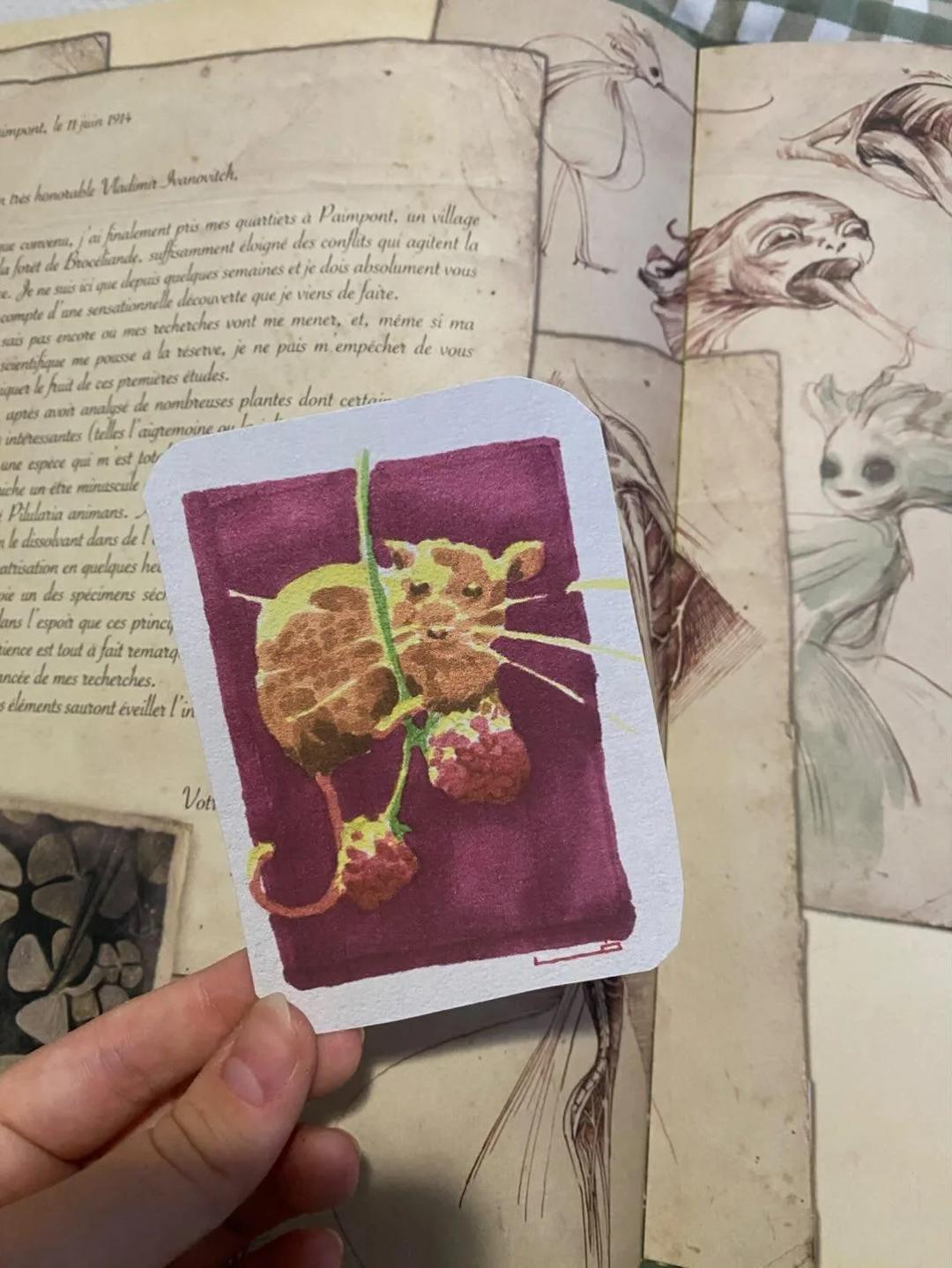 loskobby's mail club — image 13
