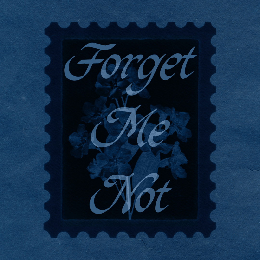 Forget me not