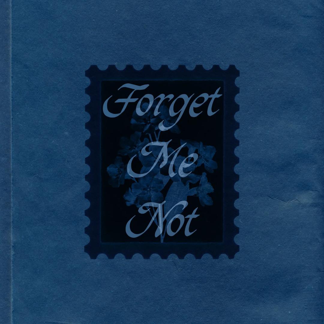 Forget me not — image 2