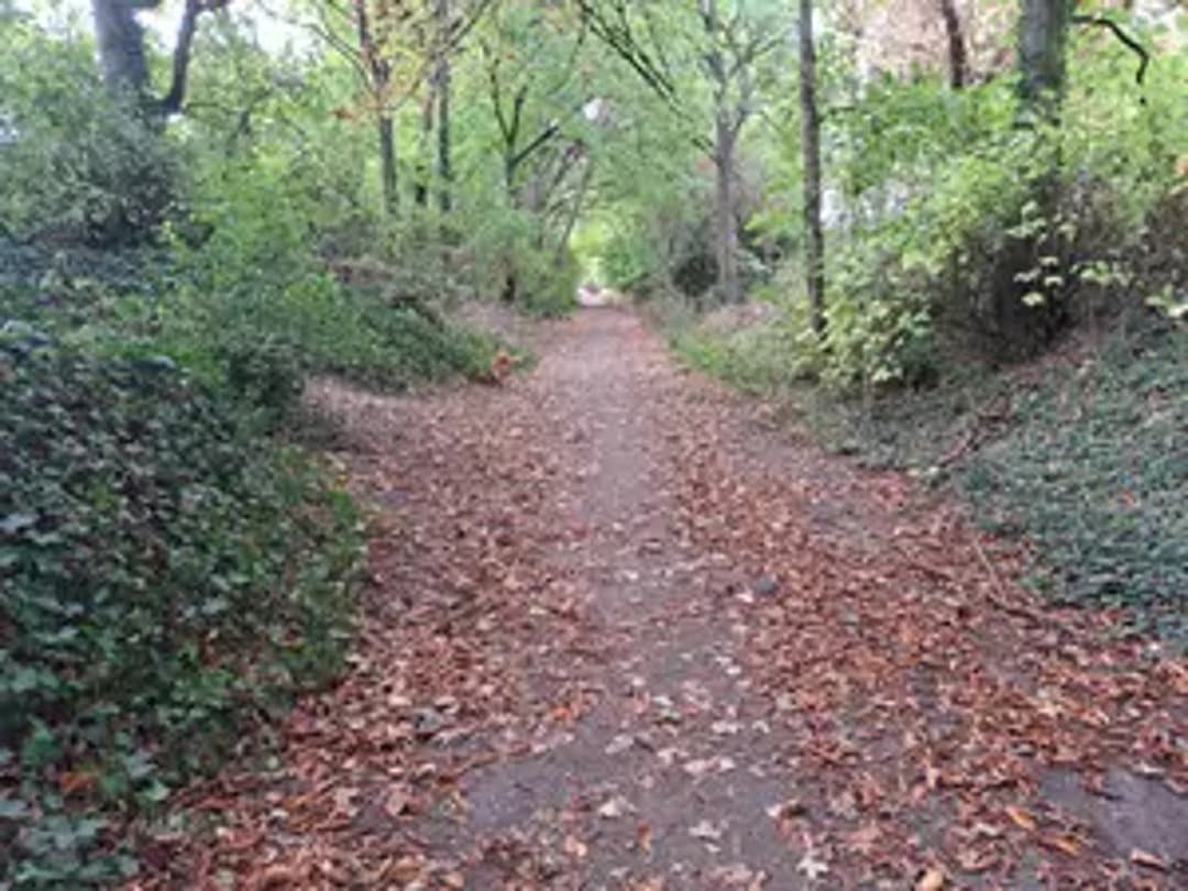 When I walk The Dog thumbnail 5