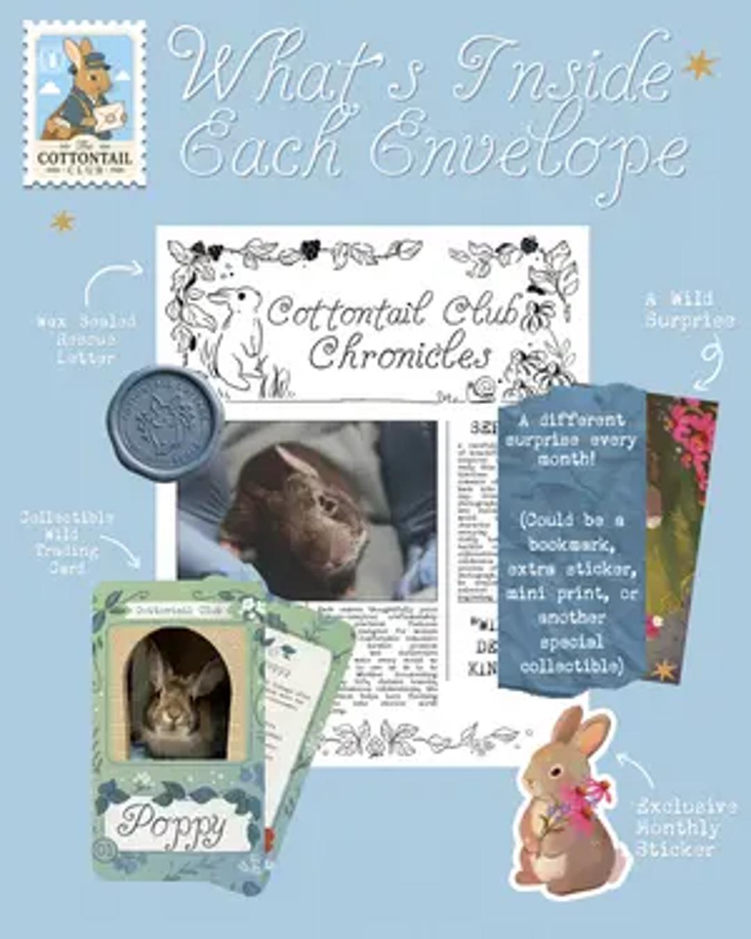 The Cottontail Club thumbnail 2