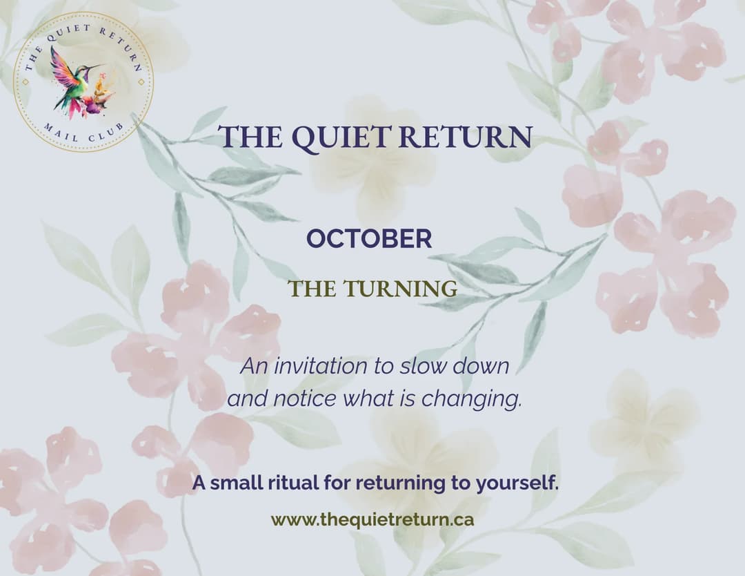 The Quiet Return — image 5