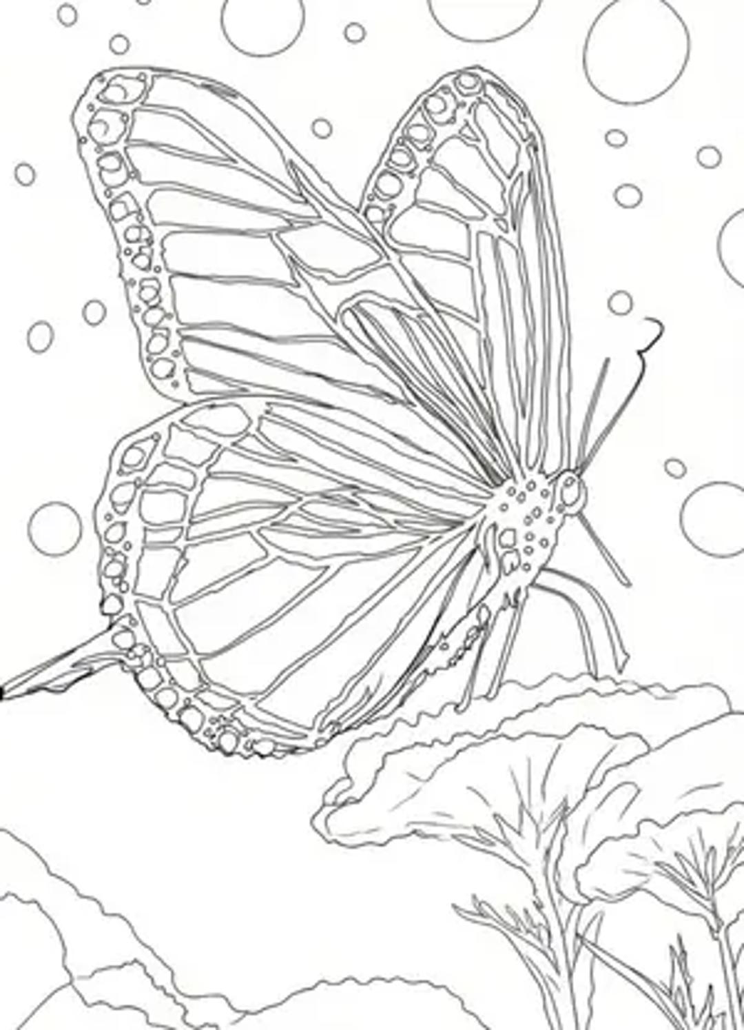 The Quiet Return thumbnail 3