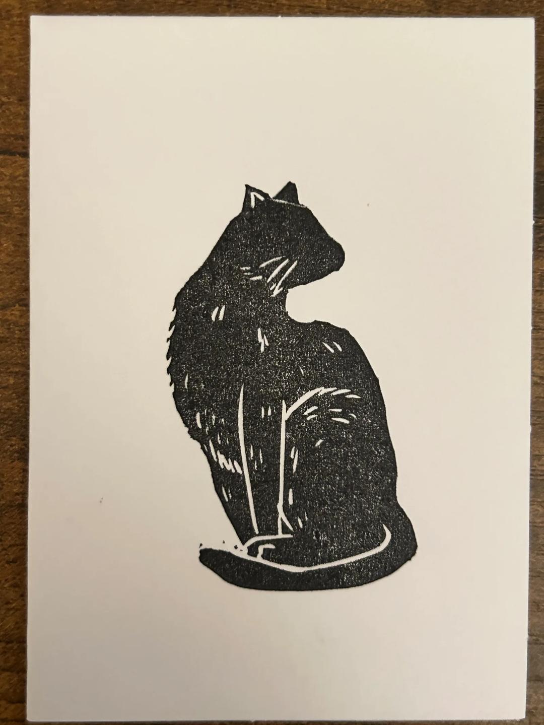 The Charming Finch — image 3