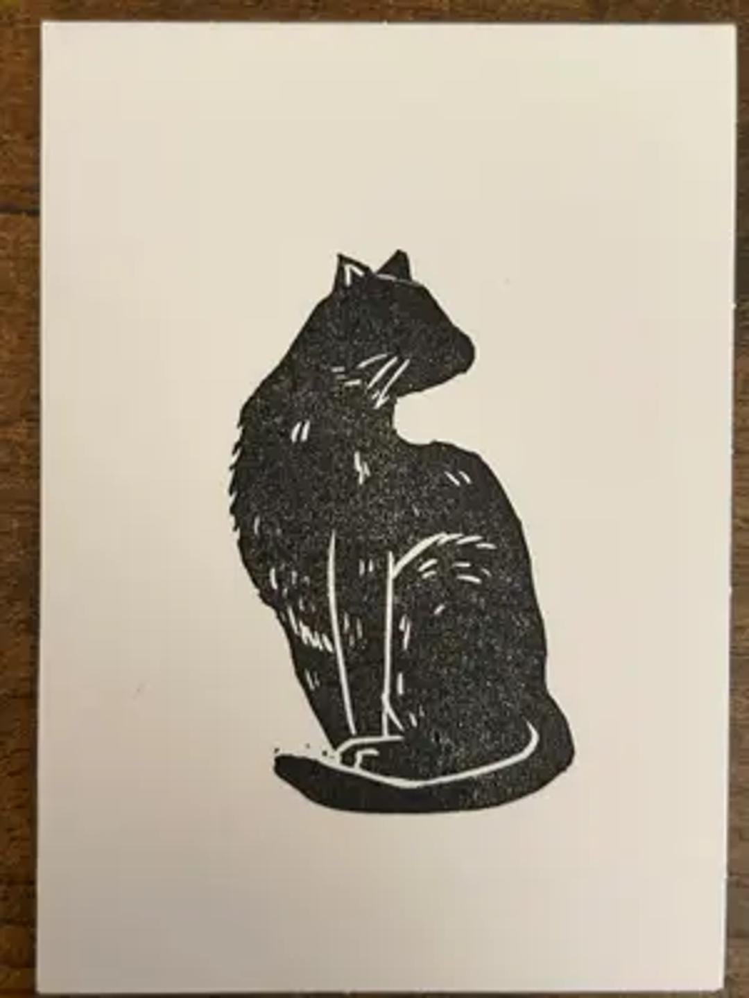 The Charming Finch thumbnail 3