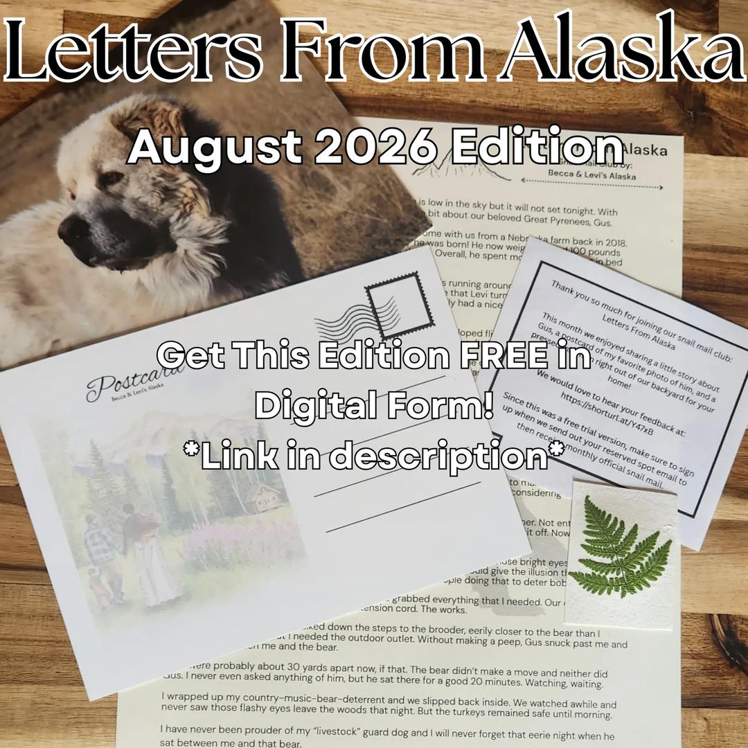 Letters From Alaska — image 2