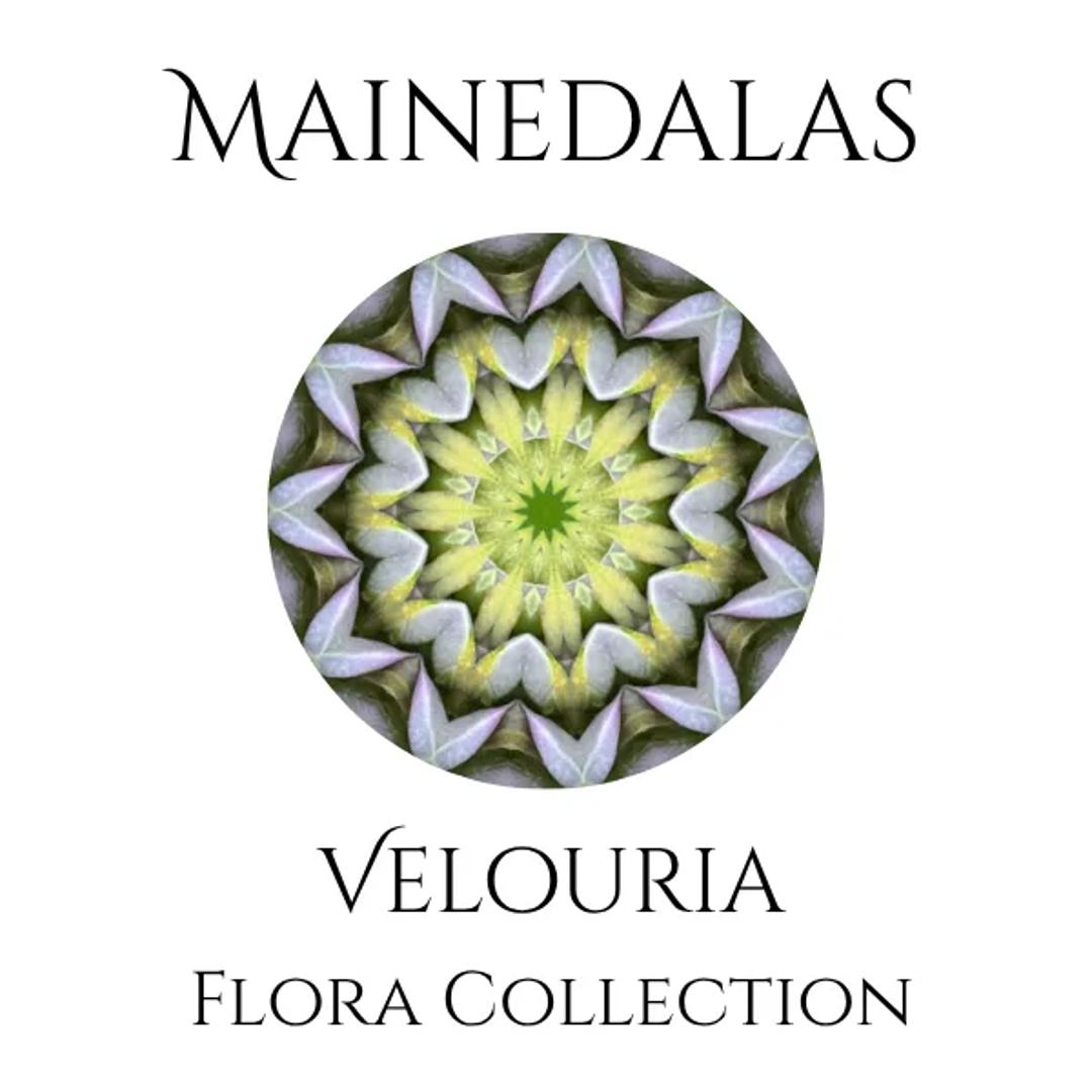 Mainedalas — image 3
