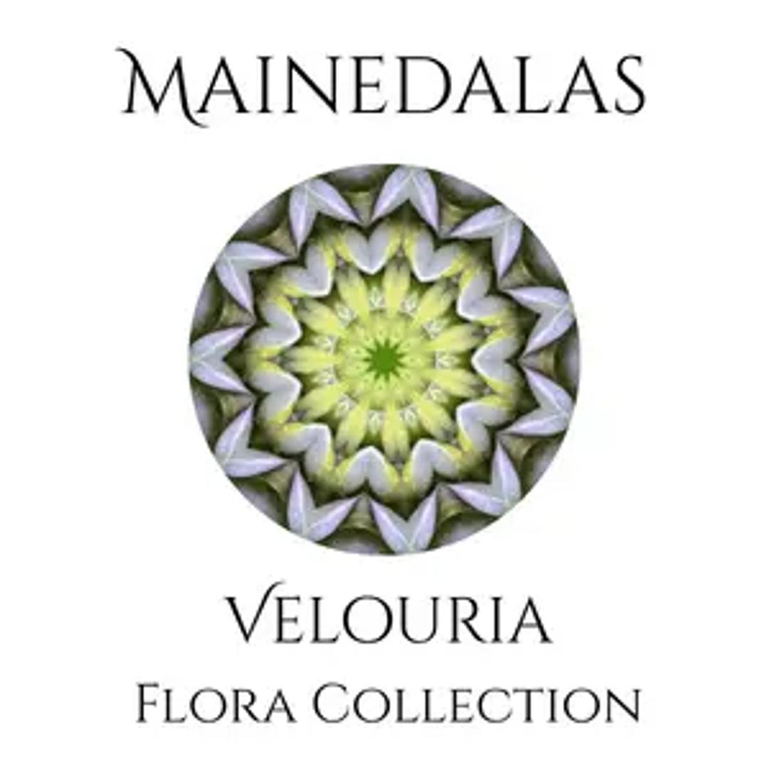 Mainedalas thumbnail 3