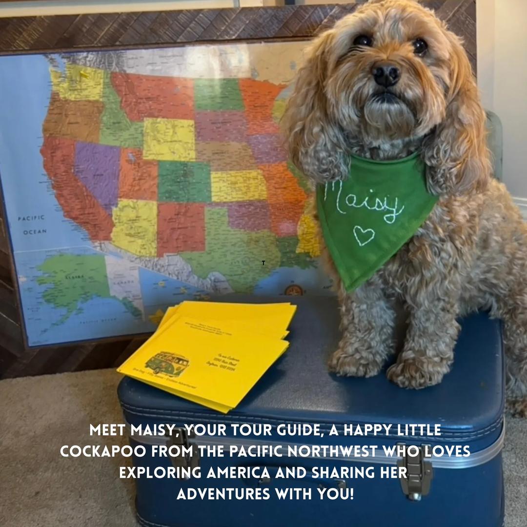 Maisy's Travel Society — image 2