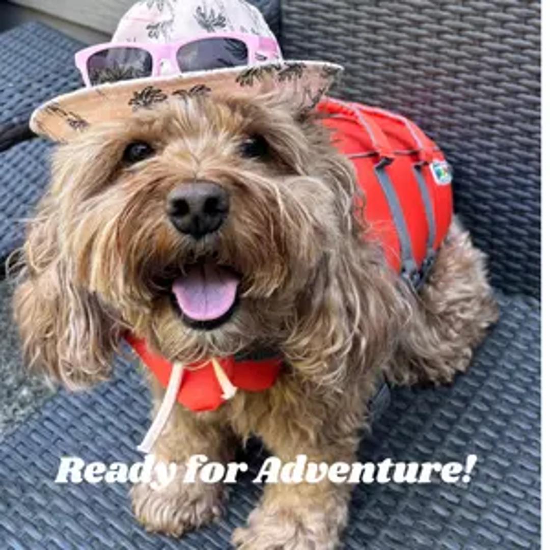 Maisy's Travel Society thumbnail 3