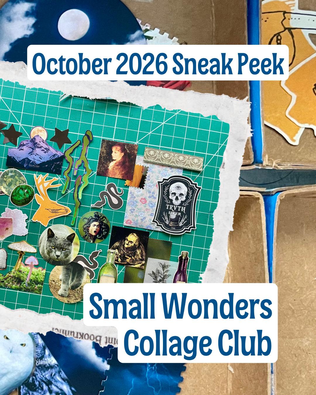 Small Wonders Hallween 2026 mailing, photo 6
