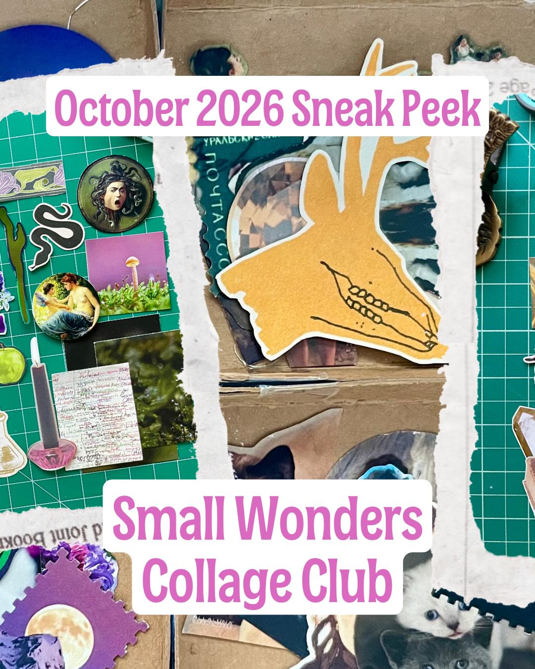 Small Wonders Hallween 2026 mailing, photo 5