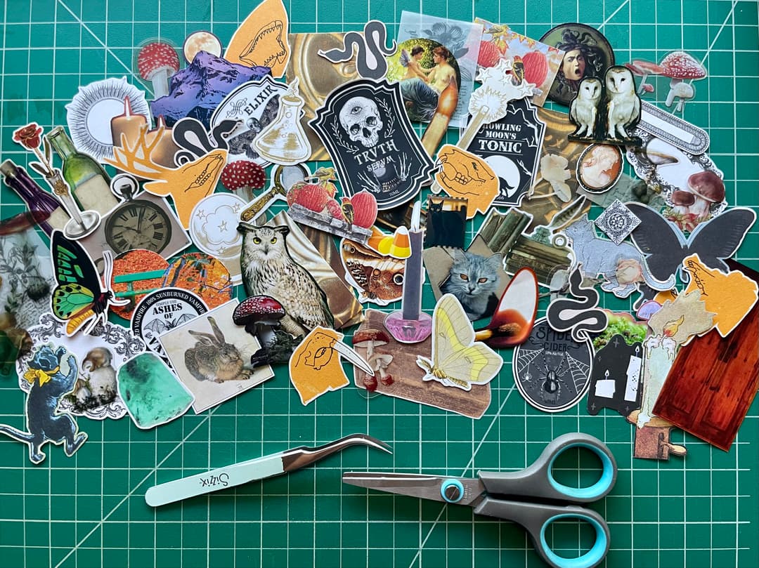 Small Wonders Hallween 2026 mailing, photo 1