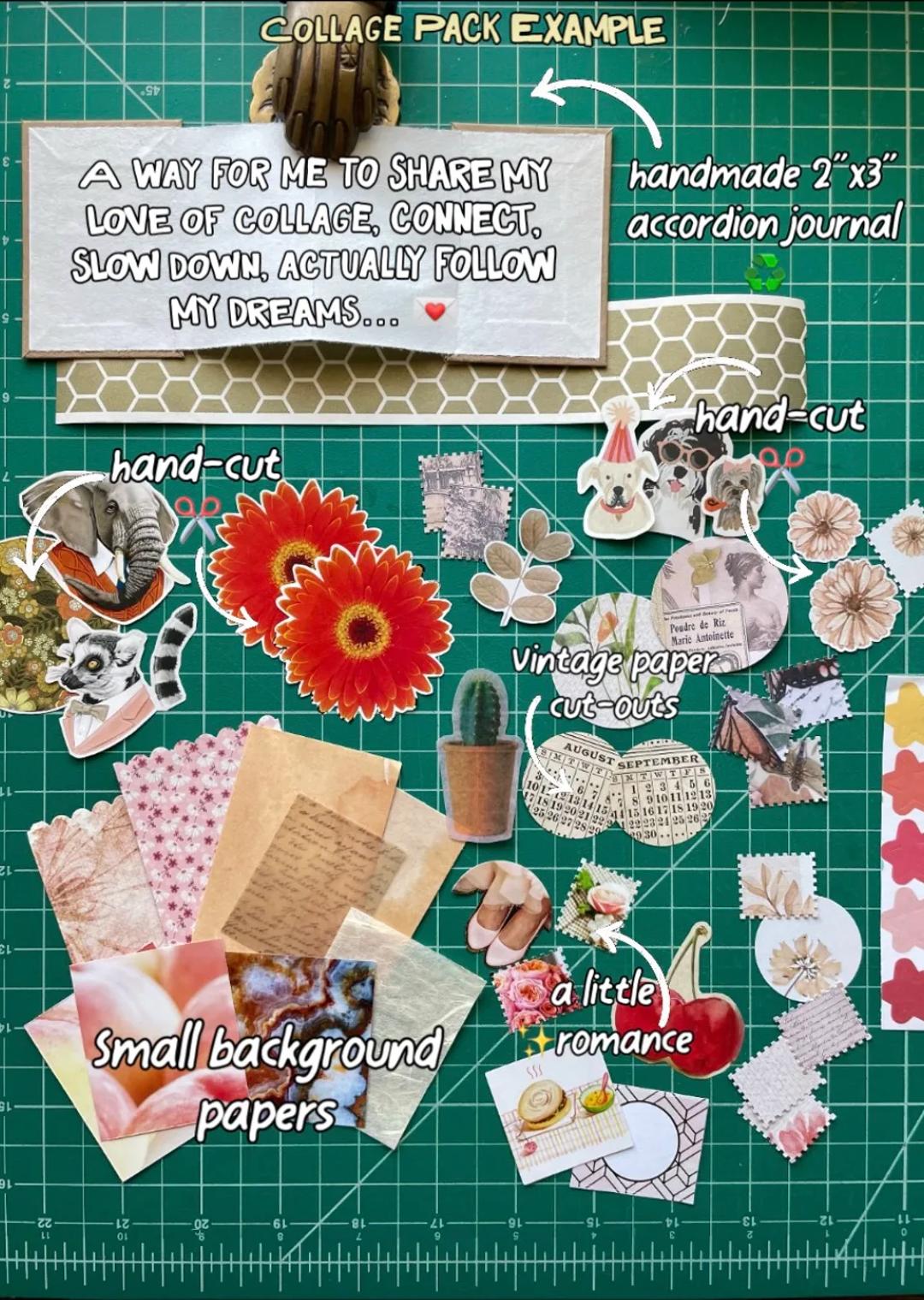 Alta Gracia Small Wonders Collage Club — image 2