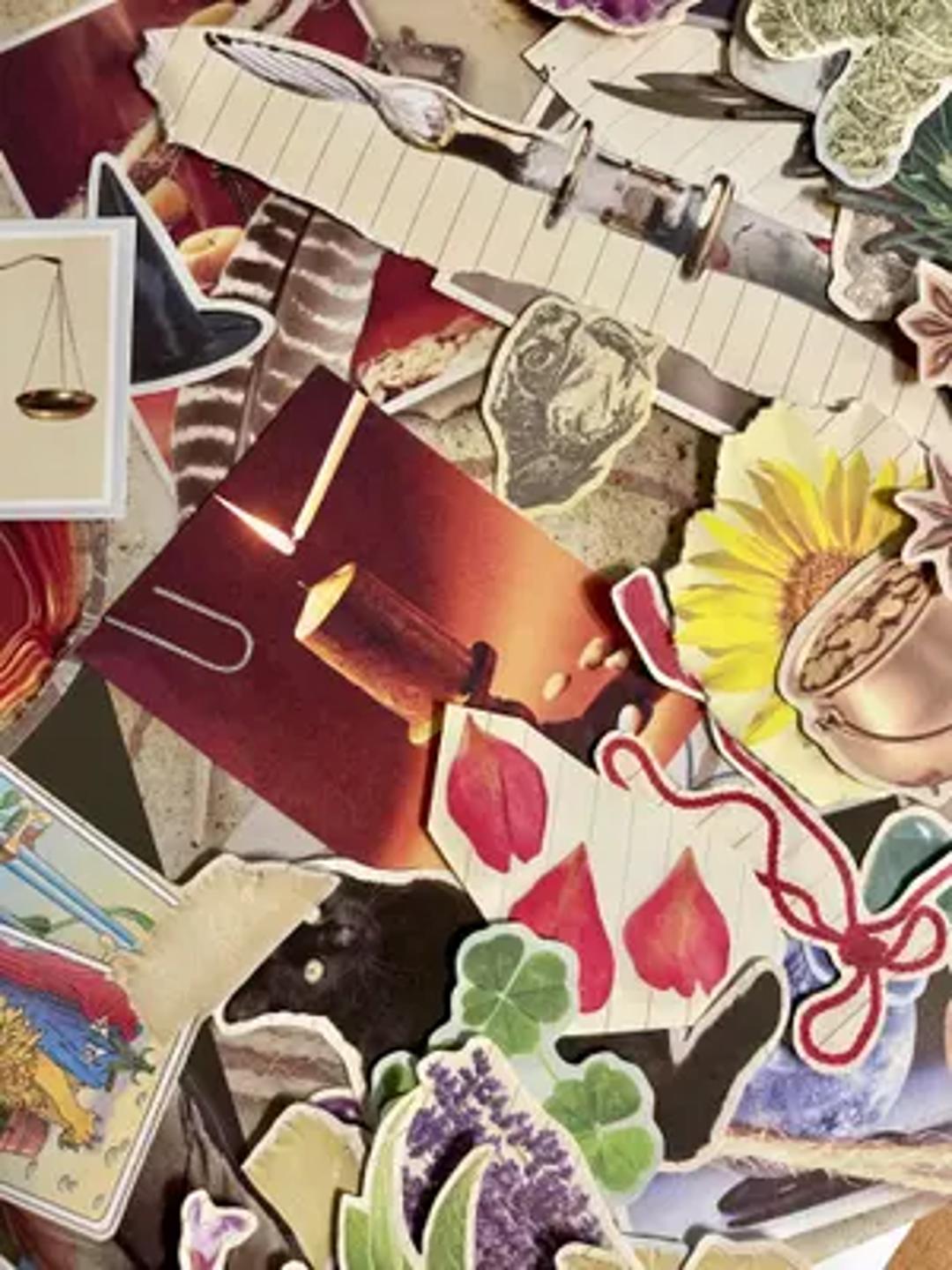 Alta Gracia Small Wonders Collage Club thumbnail 12