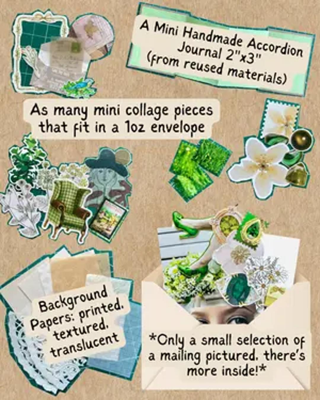 Alta Gracia Small Wonders Collage Club thumbnail 1