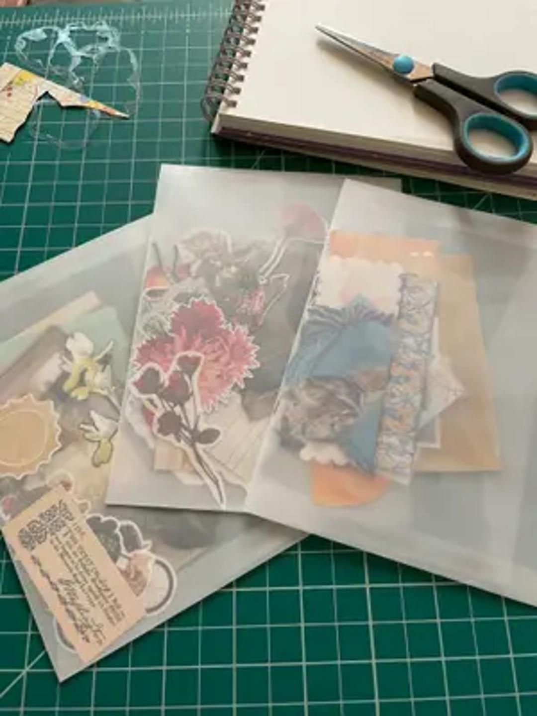 Alta Gracia Small Wonders Collage Club thumbnail 9