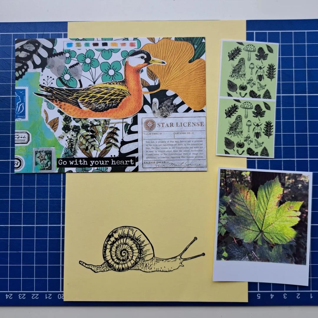 Naturelovers Snail Mail Club — image 9