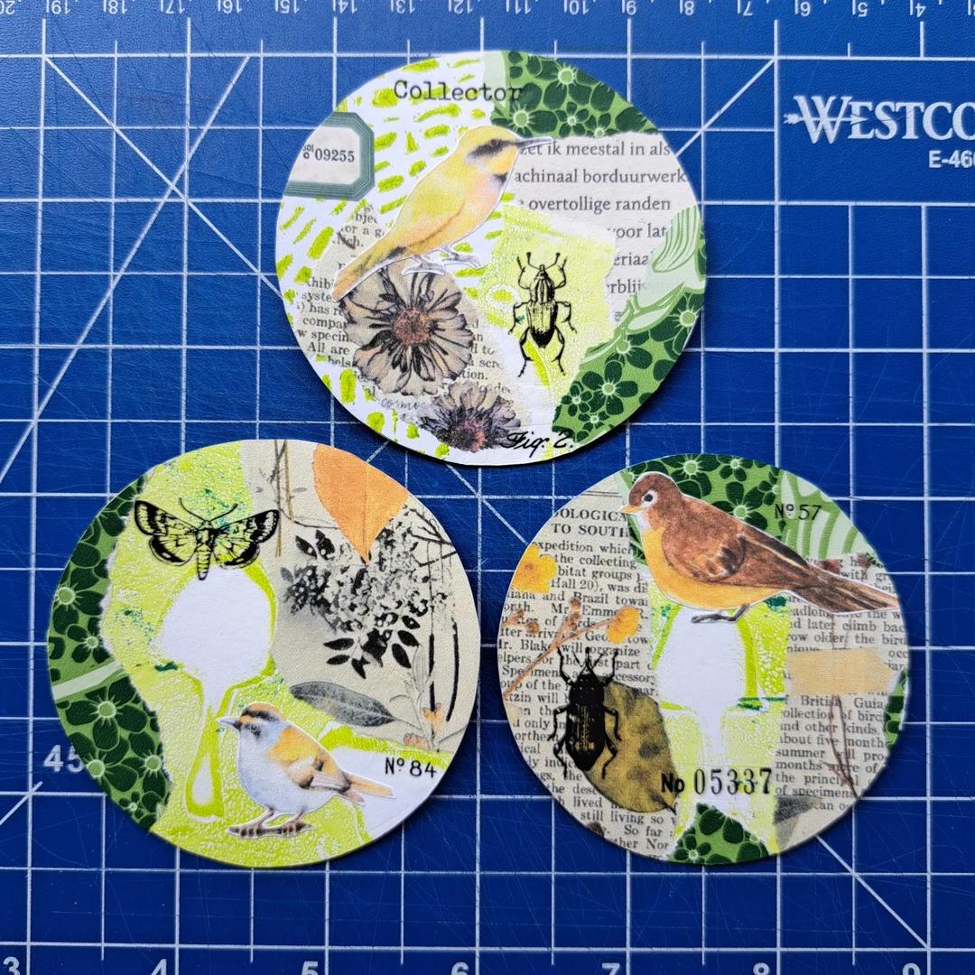 Naturelovers Snail Mail Club — image 11