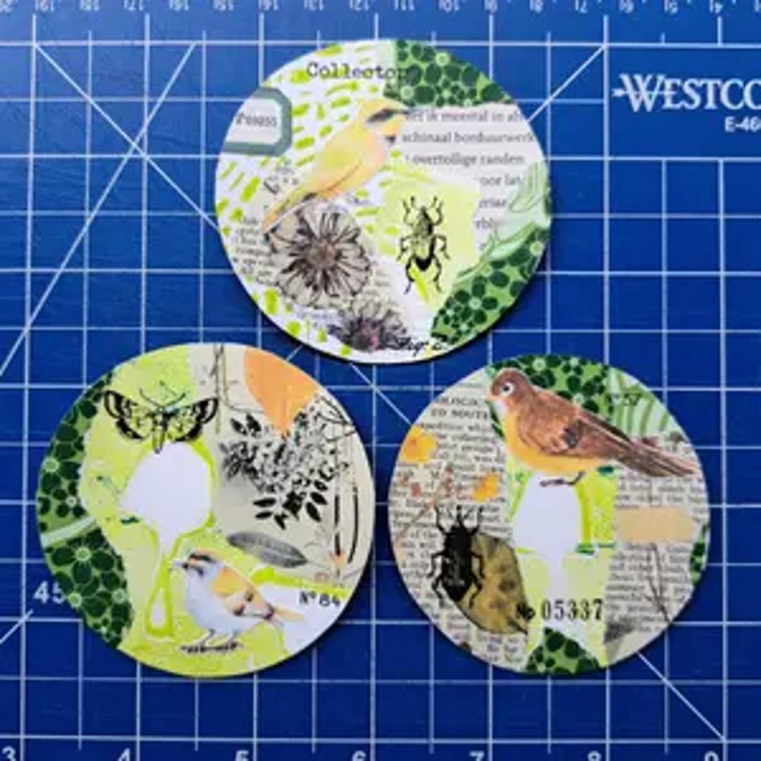 Naturelovers Snail Mail Club thumbnail 11