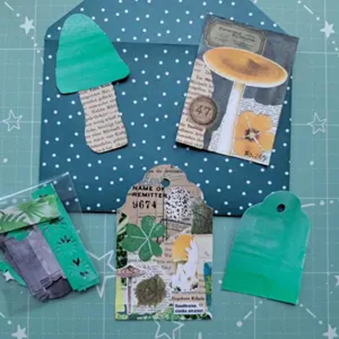 Naturelovers Snail Mail Club thumbnail 5