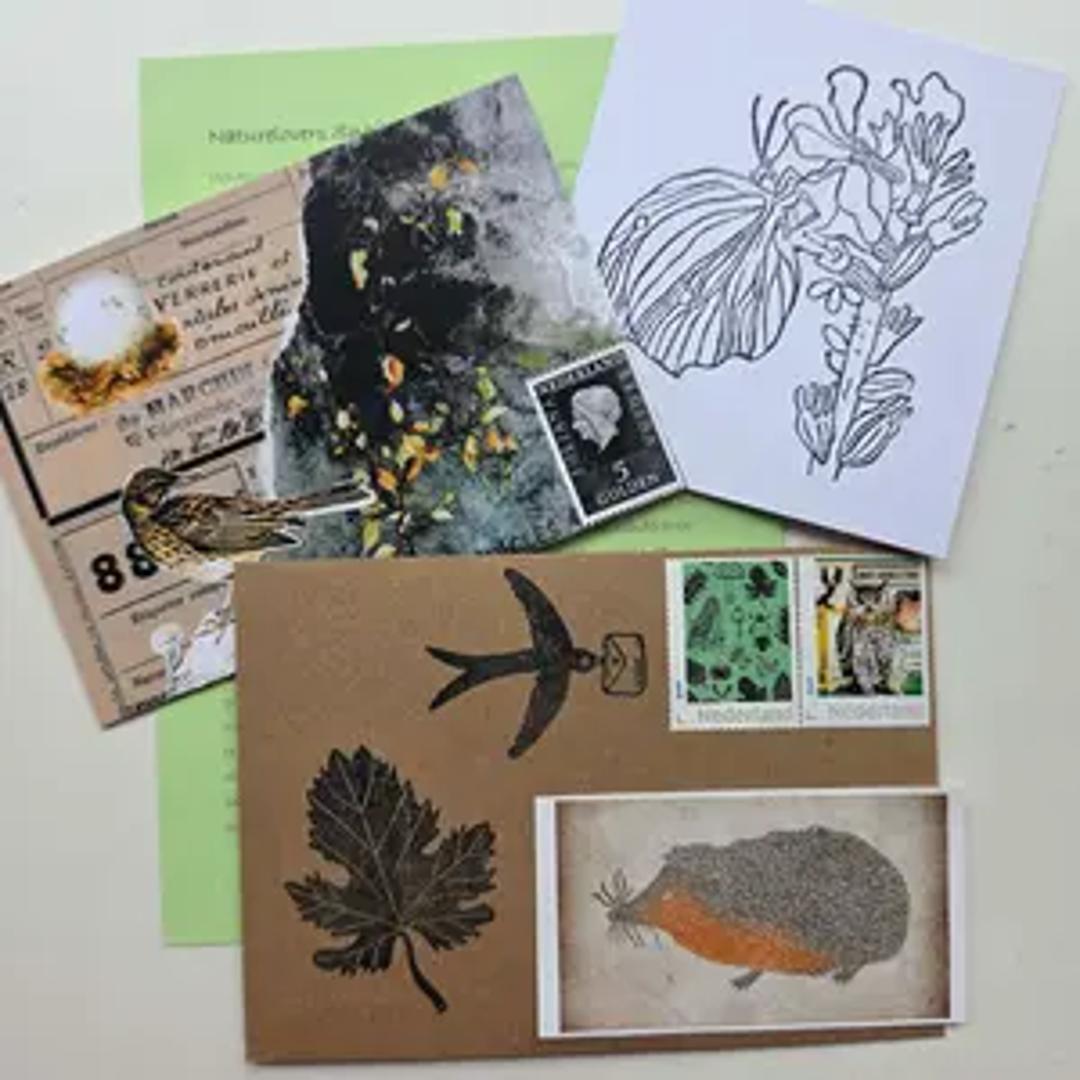 Naturelovers Snail Mail Club thumbnail 6