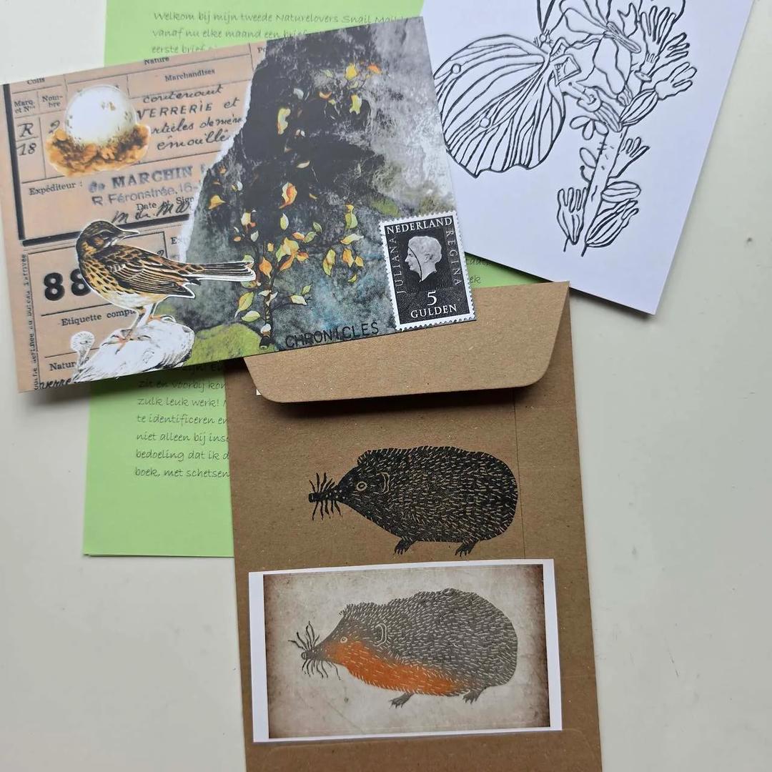 Naturelovers Snail Mail Club — image 5