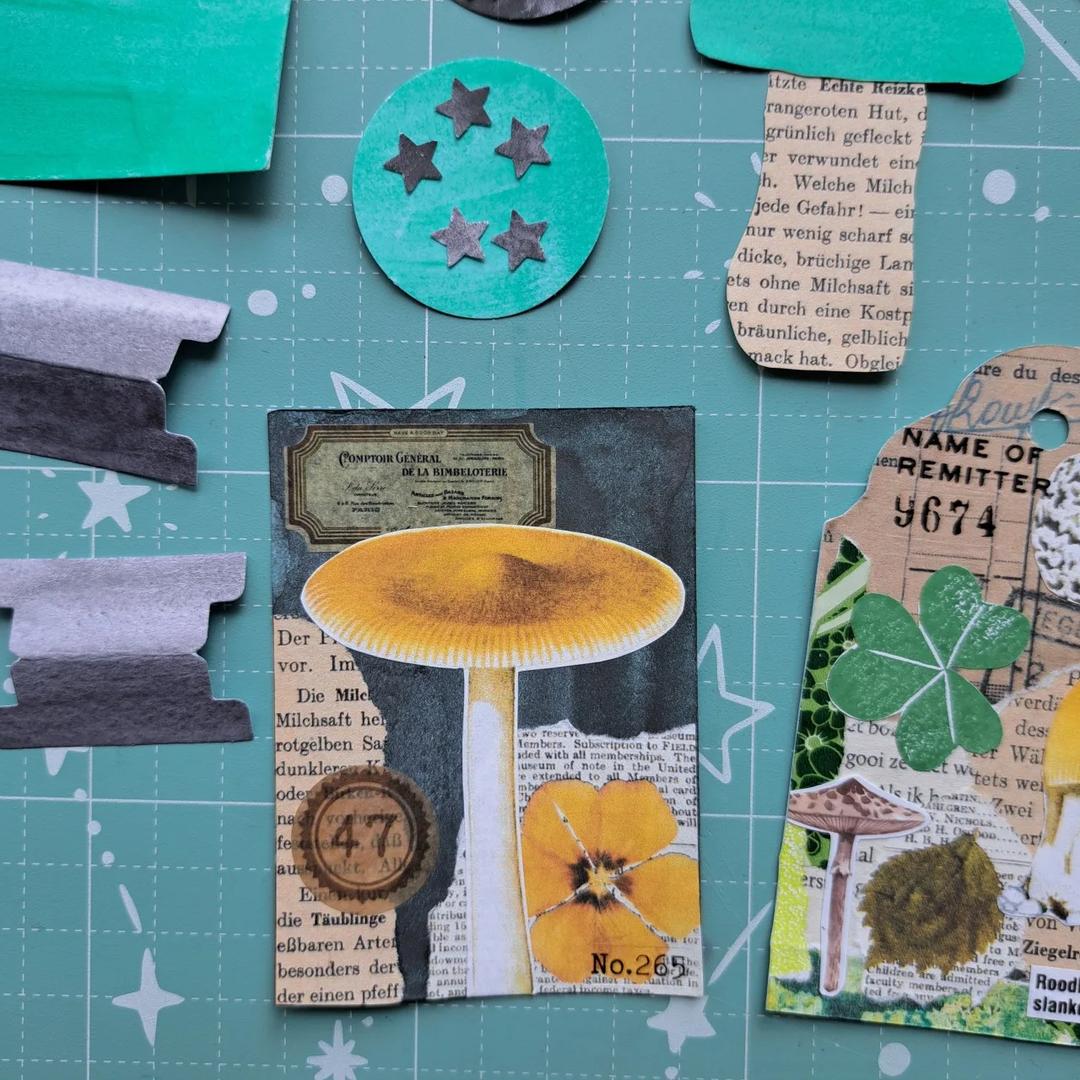 Naturelovers Snail Mail Club — image 6