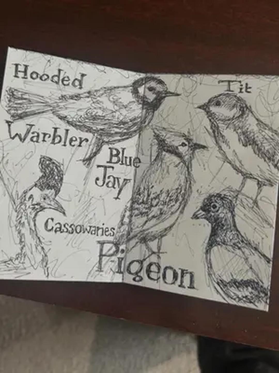 Hooded Warbler Art Club thumbnail 5