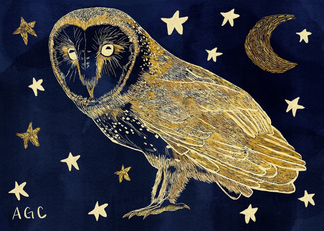 Baby Bird Mail Club — image 2