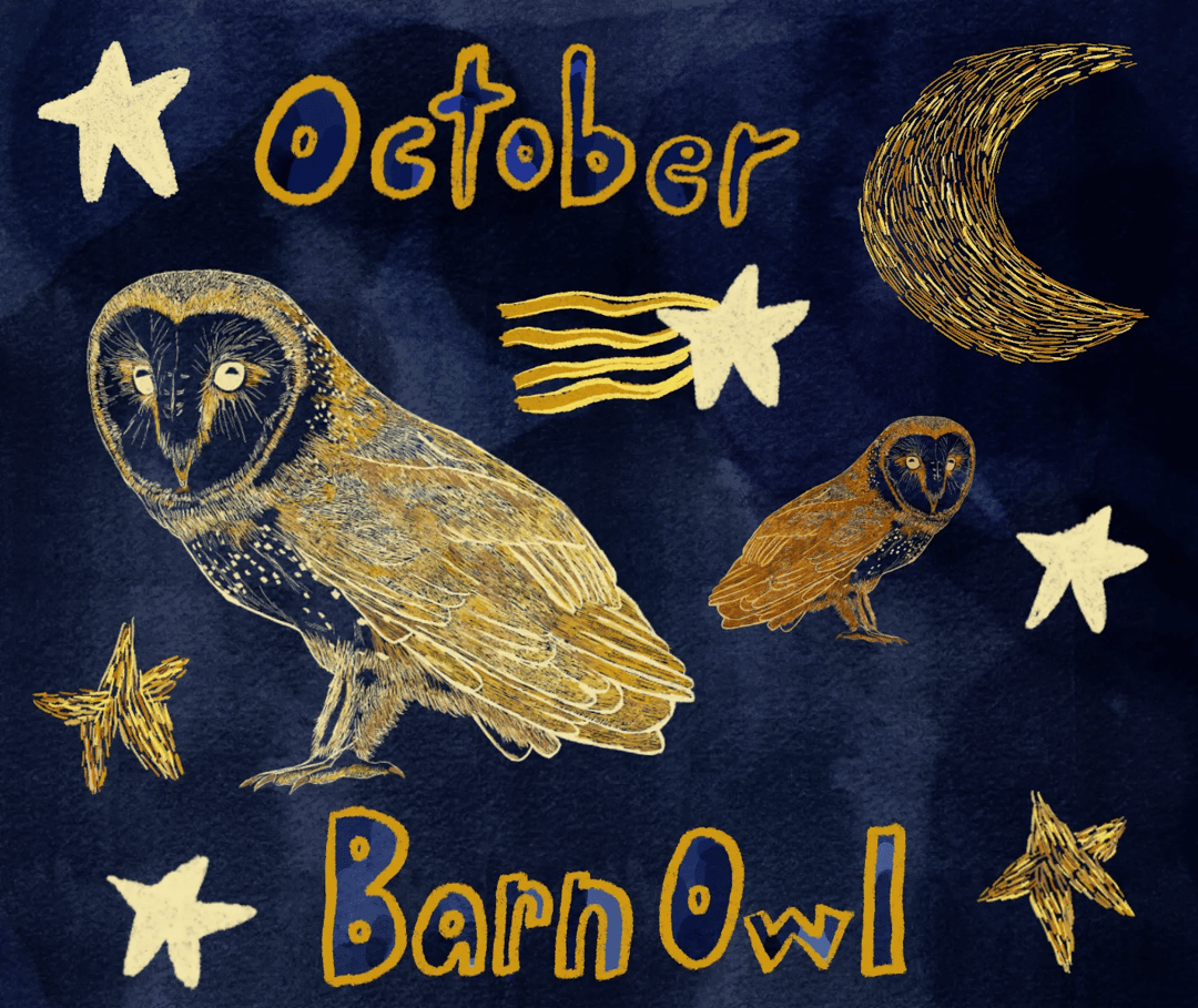 Baby Bird Mail Club — image 4