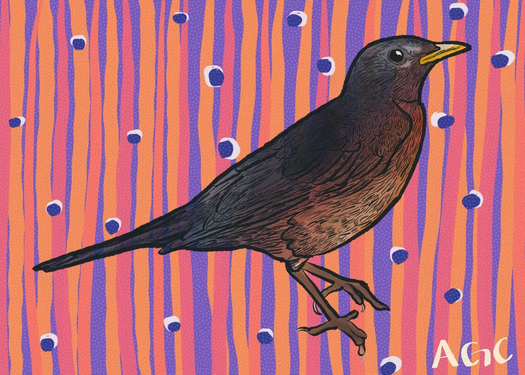 Baby Bird Mail Club — image 3