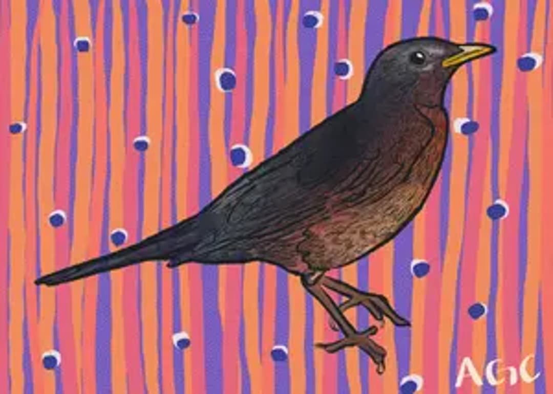 Baby Bird Mail Club thumbnail 3