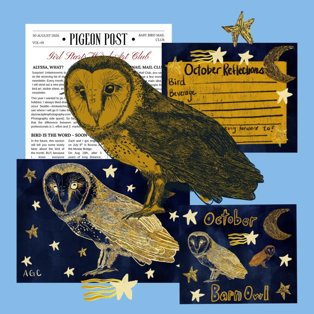 Baby Bird Mail Club — image 8
