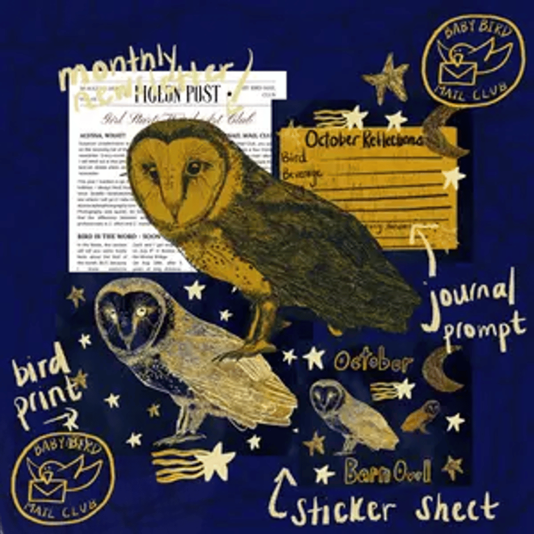 Baby Bird Mail Club thumbnail 1