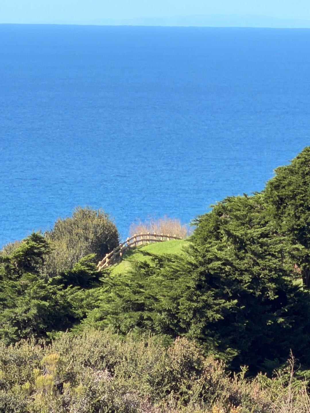 This is San Diego — image 1