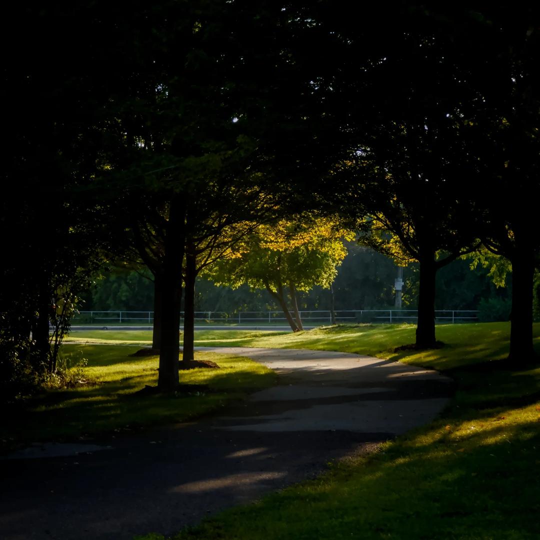The Quiet Elsewhere — image 3