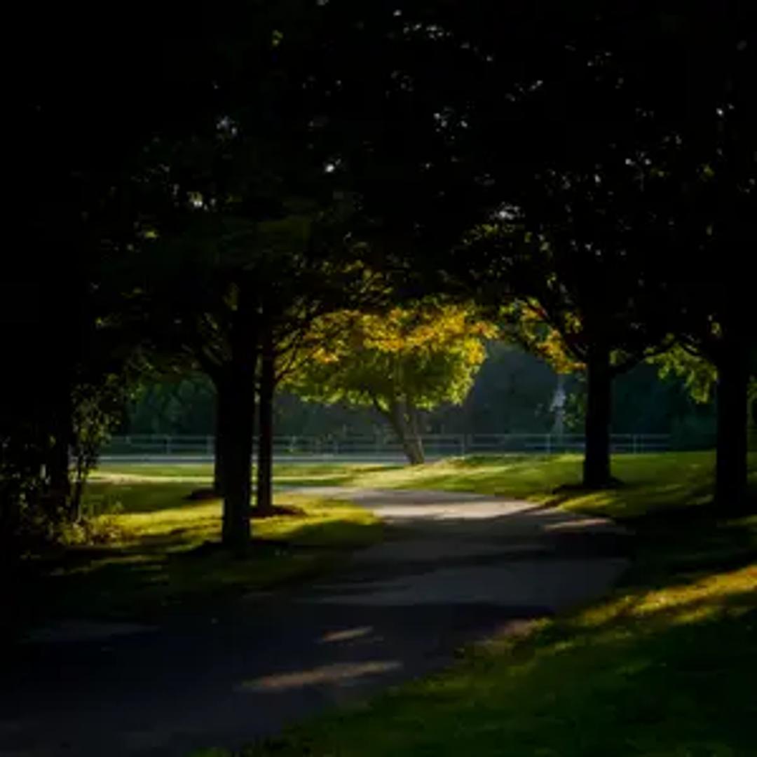 The Quiet Elsewhere thumbnail 3