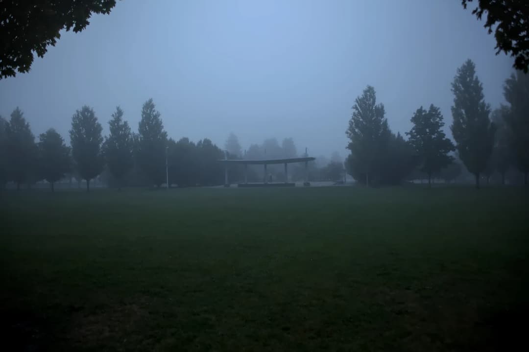 The Quiet Elsewhere — image 2