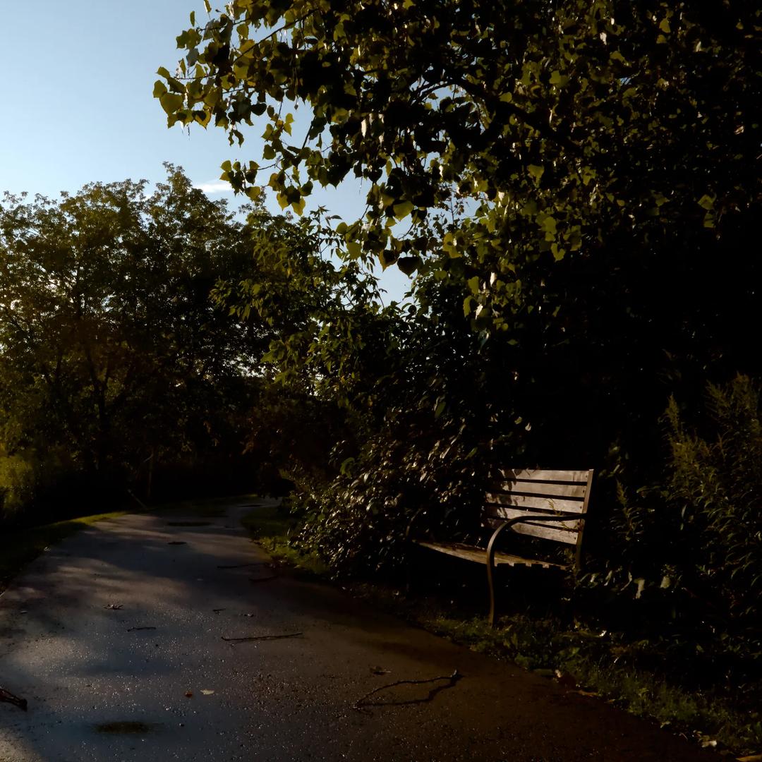 The Quiet Elsewhere — image 4