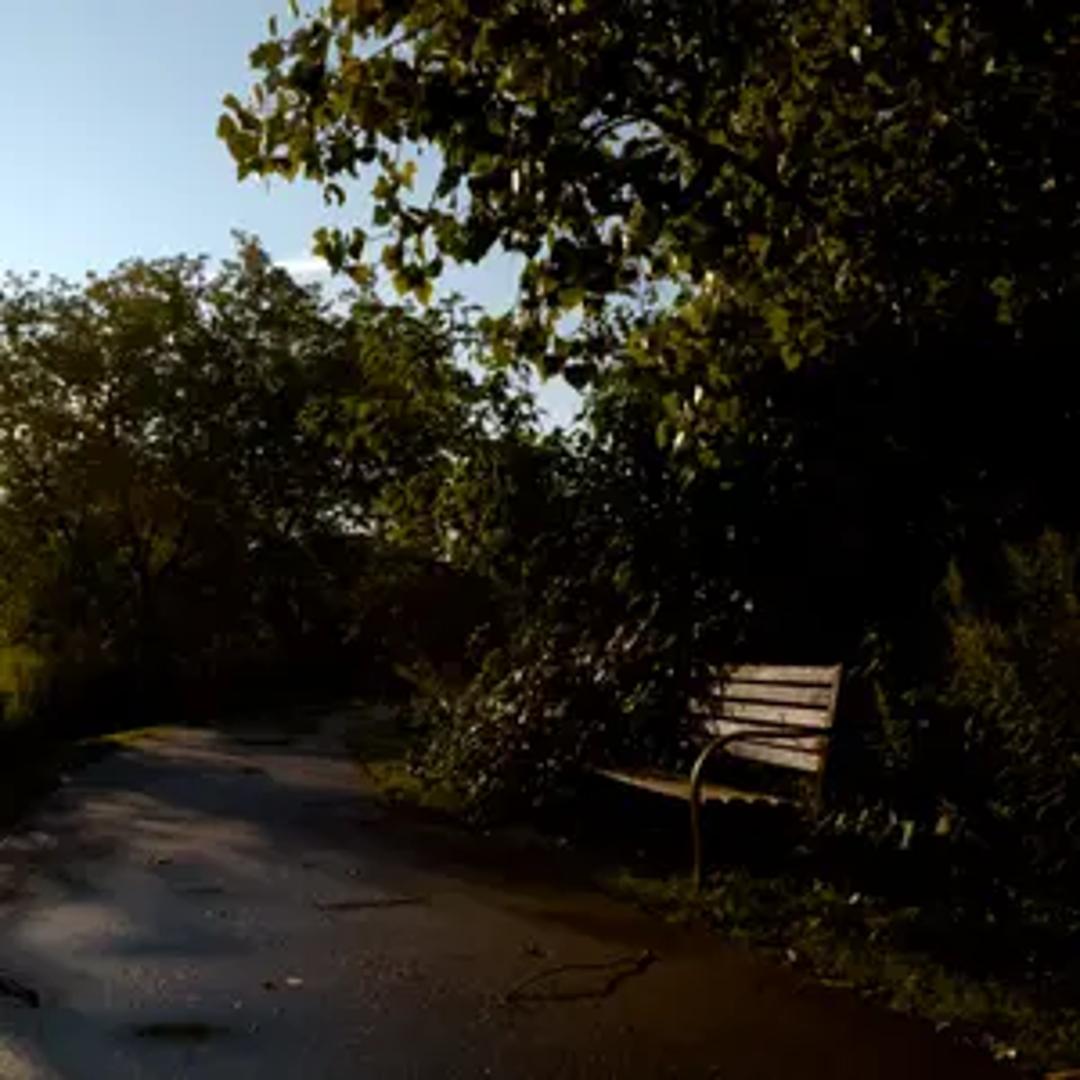 The Quiet Elsewhere thumbnail 4