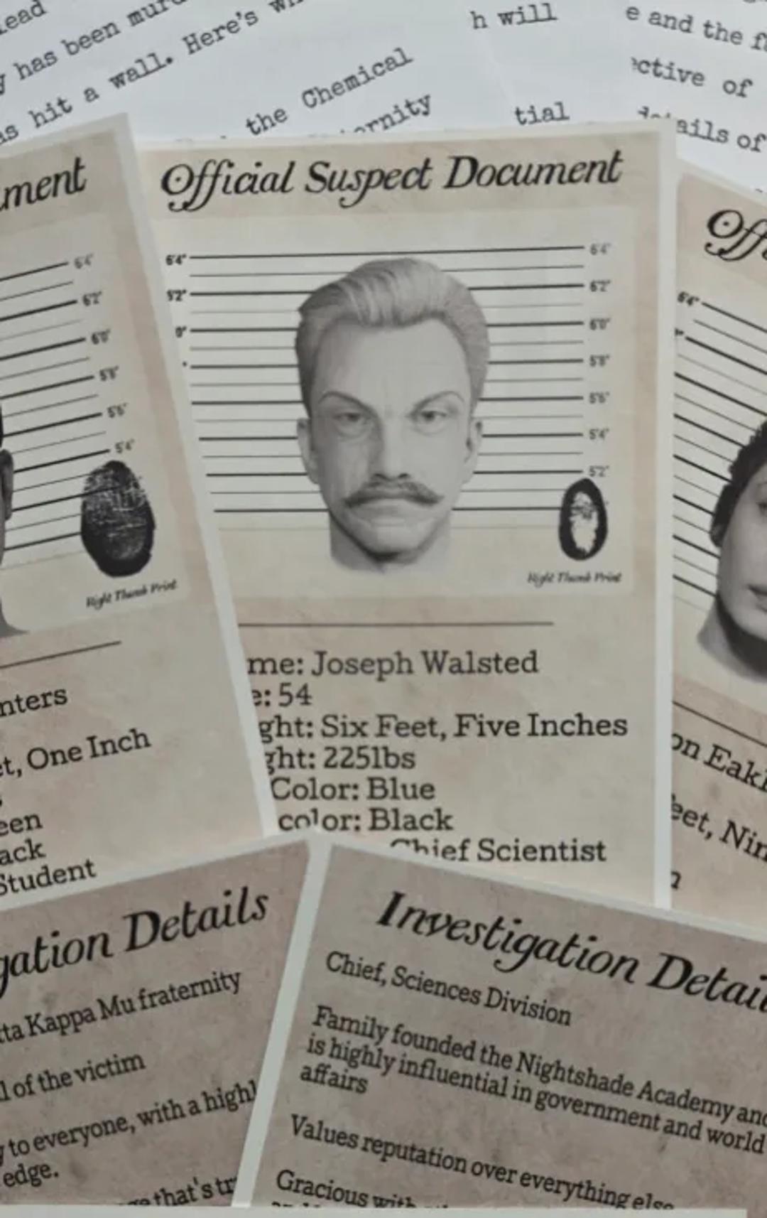 Night Echo Mystery Club — image 4