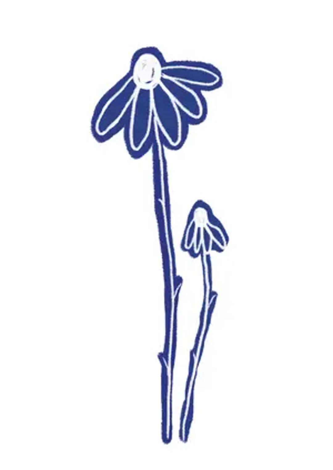 Paper Garden thumbnail 9